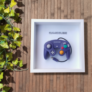 Cuadro Gamecube