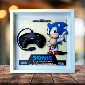 Cuadro Megadrive Sonic